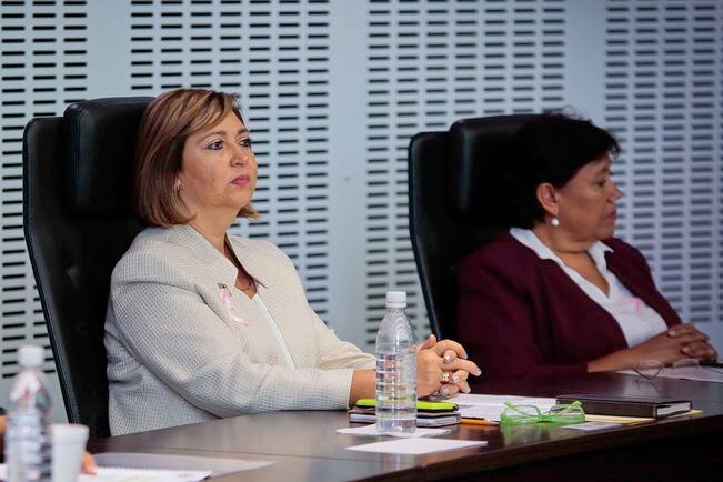 Debate. Yolanda Rodríguez, diputada del PVEM (izq.), dice que con la Ley de Aguas no se privatizará el servicio ni se afectará a ciudadanos. (ARCHIVO EL UNIVERSAL)