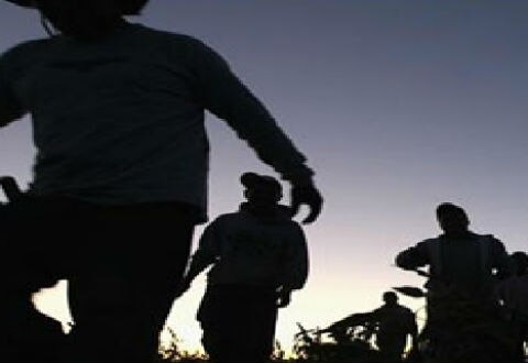 Detienen a 17 migrantes