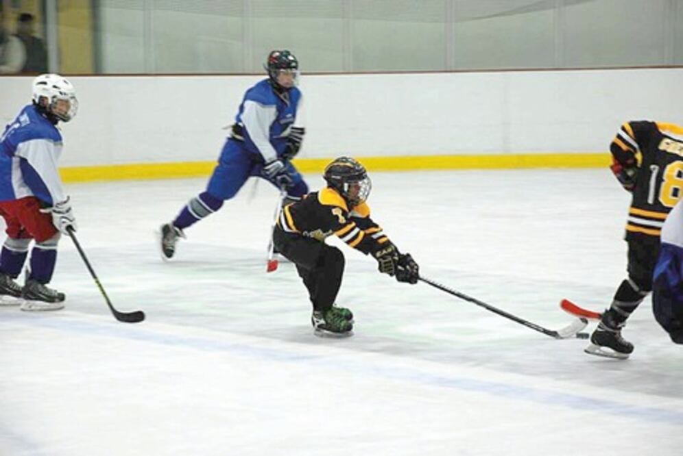 Otro subcampeonato para los Mapaches