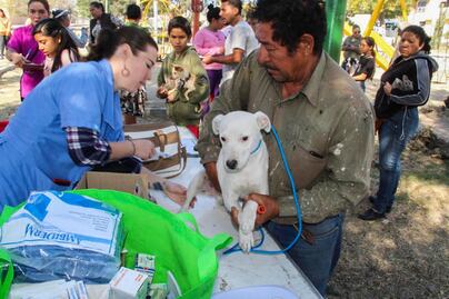 Realizan jornada comunitaria en Puertas del Cielo