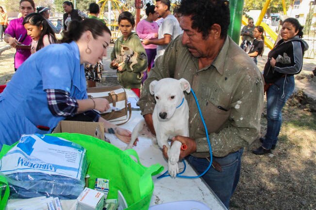 Realizan jornada comunitaria en Puertas del Cielo