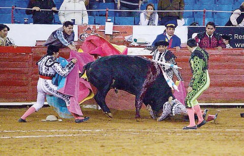 Otra cirugía a hombre cornado