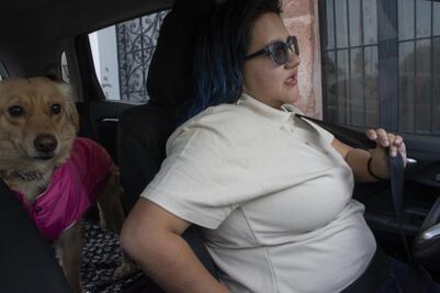 Taxican, un servicio único para mascotas