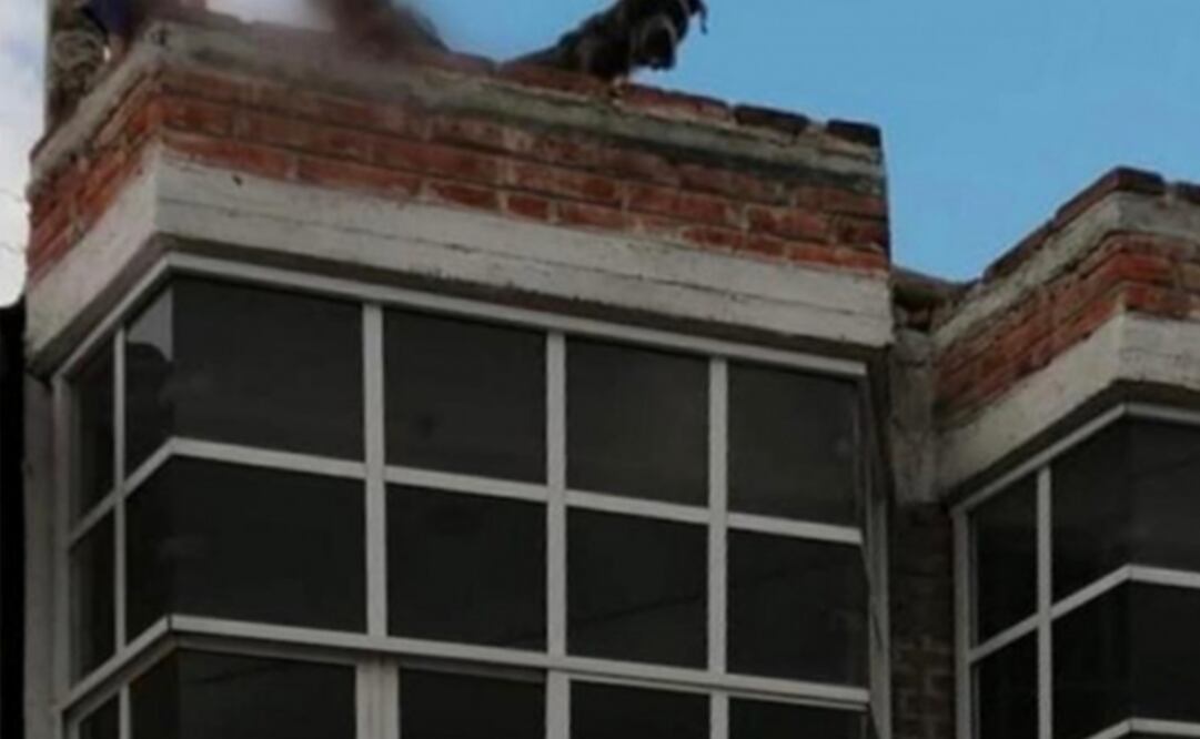 Mujer se va a Tula y deja a sobrinos amarrados con mecate en Tecámac