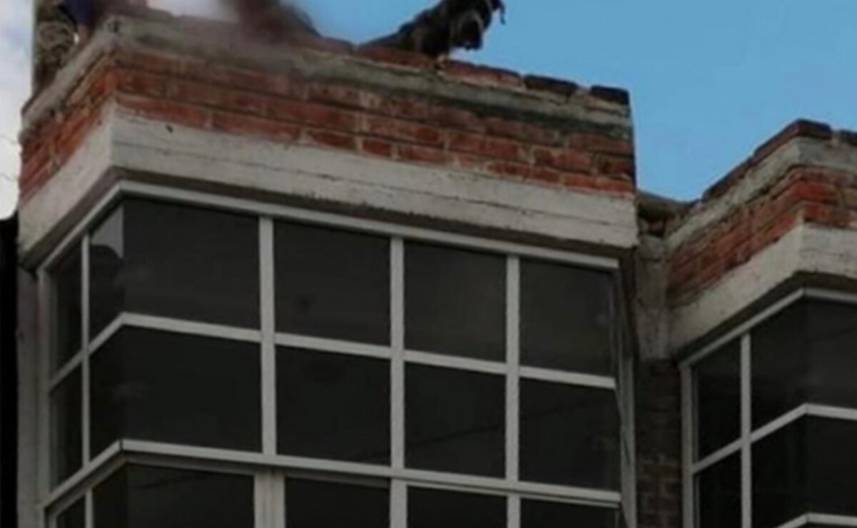 Mujer se va a Tula y deja a sobrinos amarrados con mecate en Tecámac