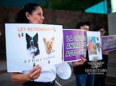 Demandan justicia para Athos y Tango