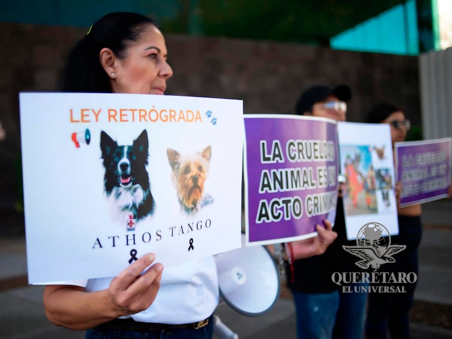 FOTO. FERNANDO CAMACHO