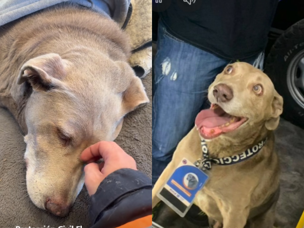 Foto. Facebook Protección Civil El Marqués