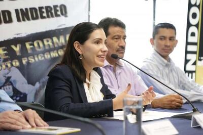 “Amparos contra libros de SEP, a cargo de padres”: diputada