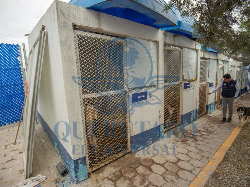 FOTO. FERNANDO CAMACHO