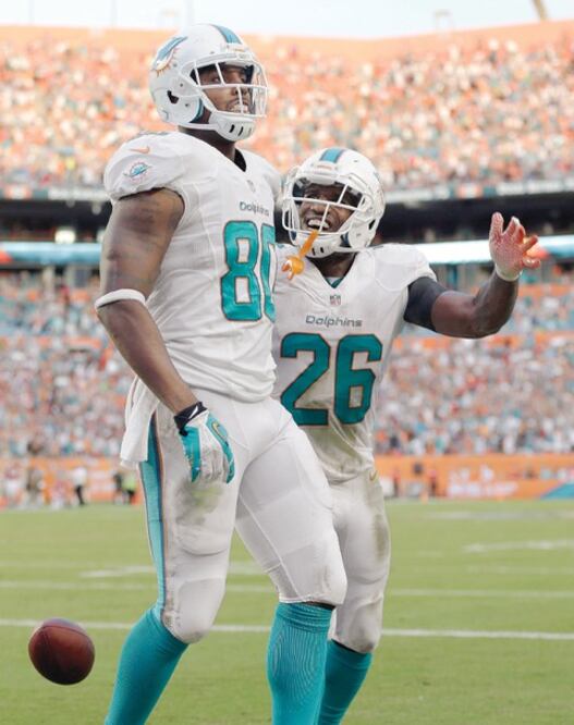 Los Delfines de Miami resurgen