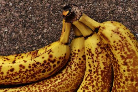 Alimentos 'quitasustos' para el sismo