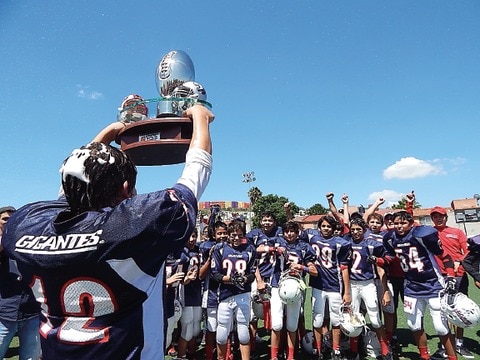  Dominan el emparrillado