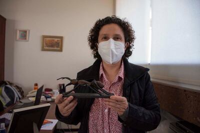 Gabriela Castaño, la bióloga mexicana que se ocupa del estudio de las hormigas