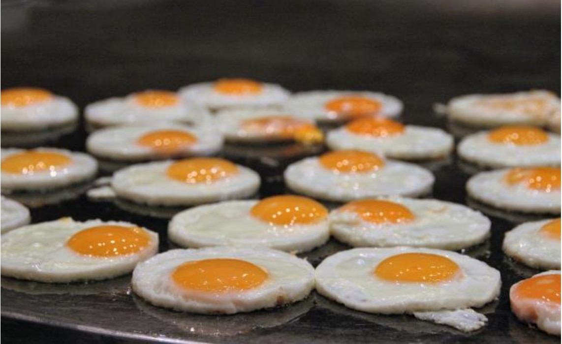 Comer huevo todos los días te hace más inteligente: UNAM