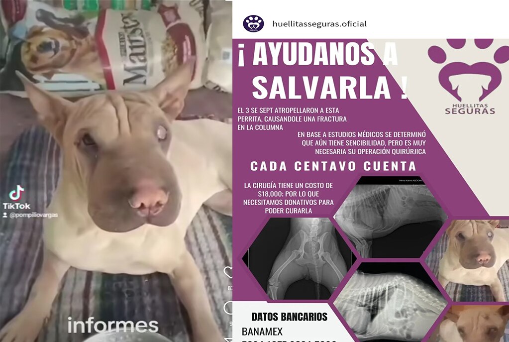 Foto: Captura de pantalla