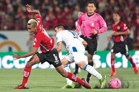 Gallos enfrentará a Nueva Zelanda