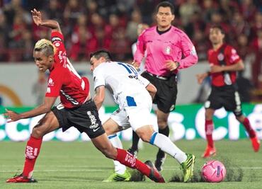 Gallos enfrentará a Nueva Zelanda