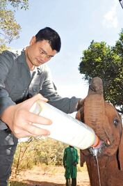 Yao Ming, del basquetbol  a la lucha 