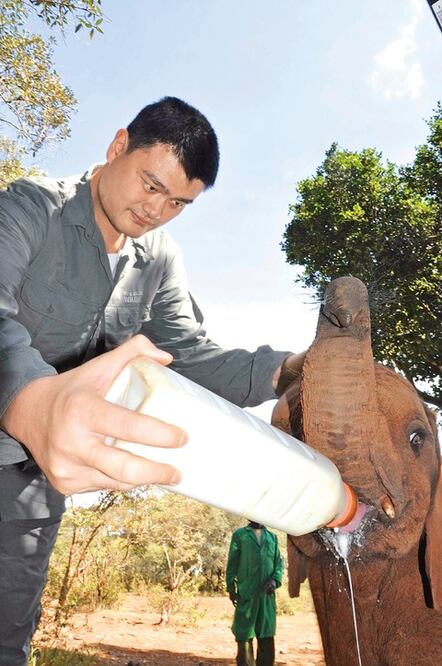Yao Ming, del basquetbol a la lucha