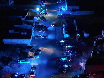 Operativo interinstitucional clausura pelea de gallos clandestina