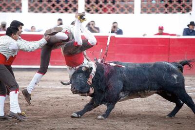 #NuestasHistorias. Forcados, "debes dedicarle mucho tiempo; dar lo mejor de ti": Cuyo Montiel 