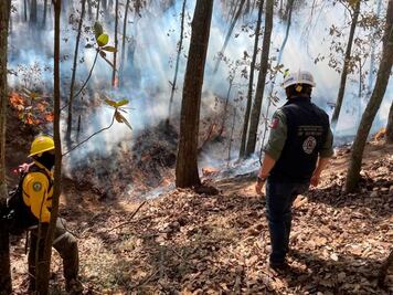 Incendio forestal consume 700 hectáreas en Amealco y Huimilpan