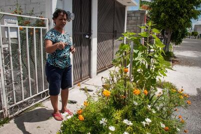 Piden recabar información antes de rentar