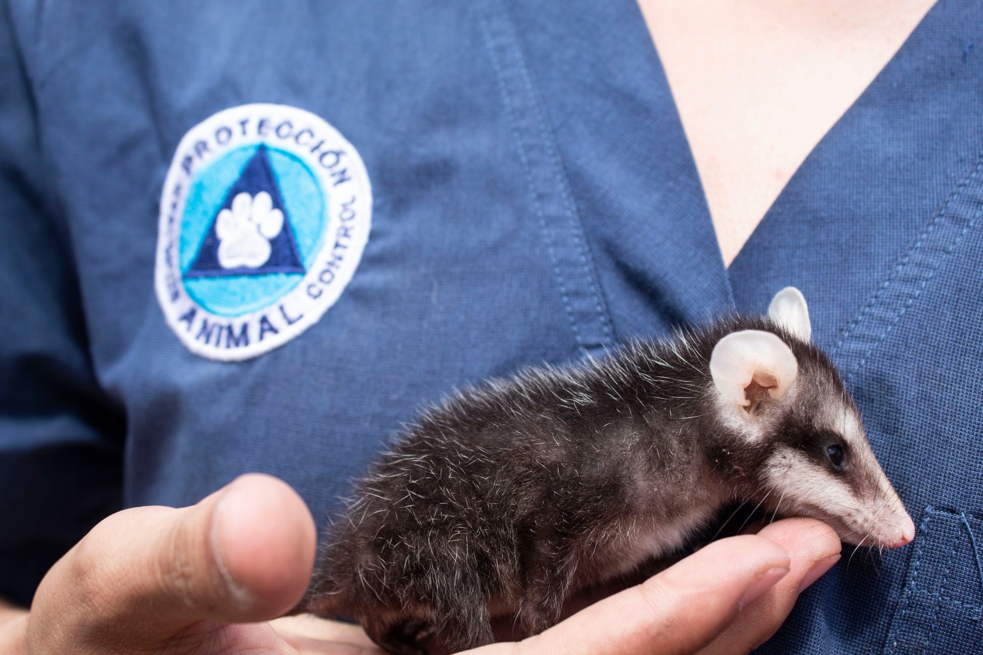 Foto: Servicios Públicos Municipales