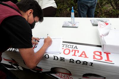 Opinión. Por qué participar en la Consulta Popular