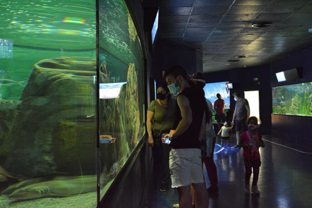 Foto: Perla Sánchez