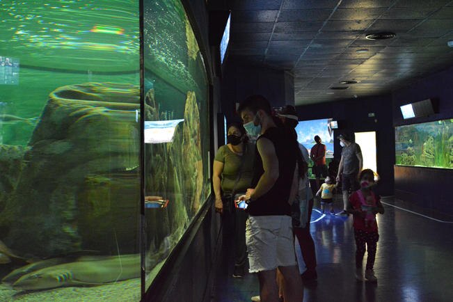 Zoológicos buscan regresar de la ruina