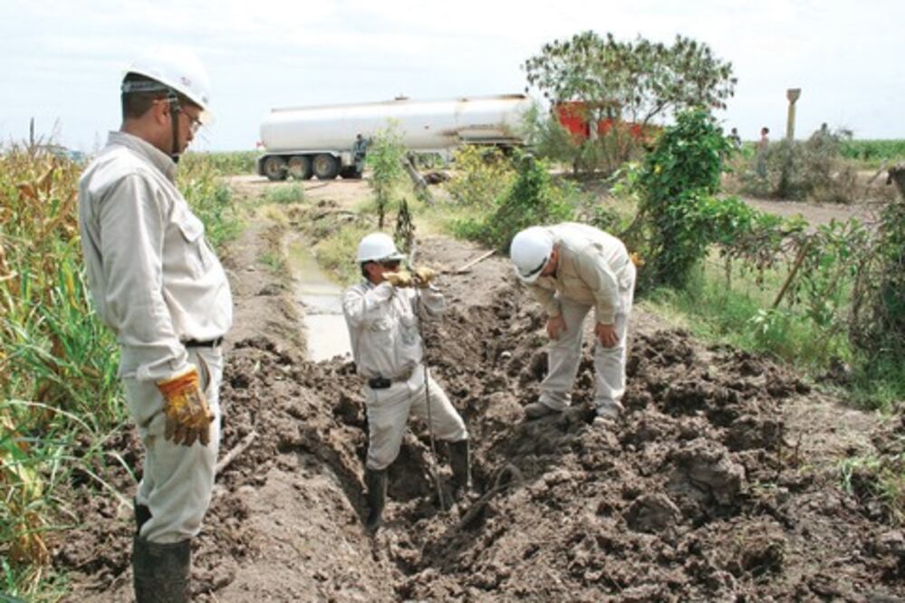 Refuerzan vigilancia en la red de la entidad