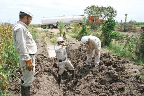 Refuerzan vigilancia en la red de la entidad