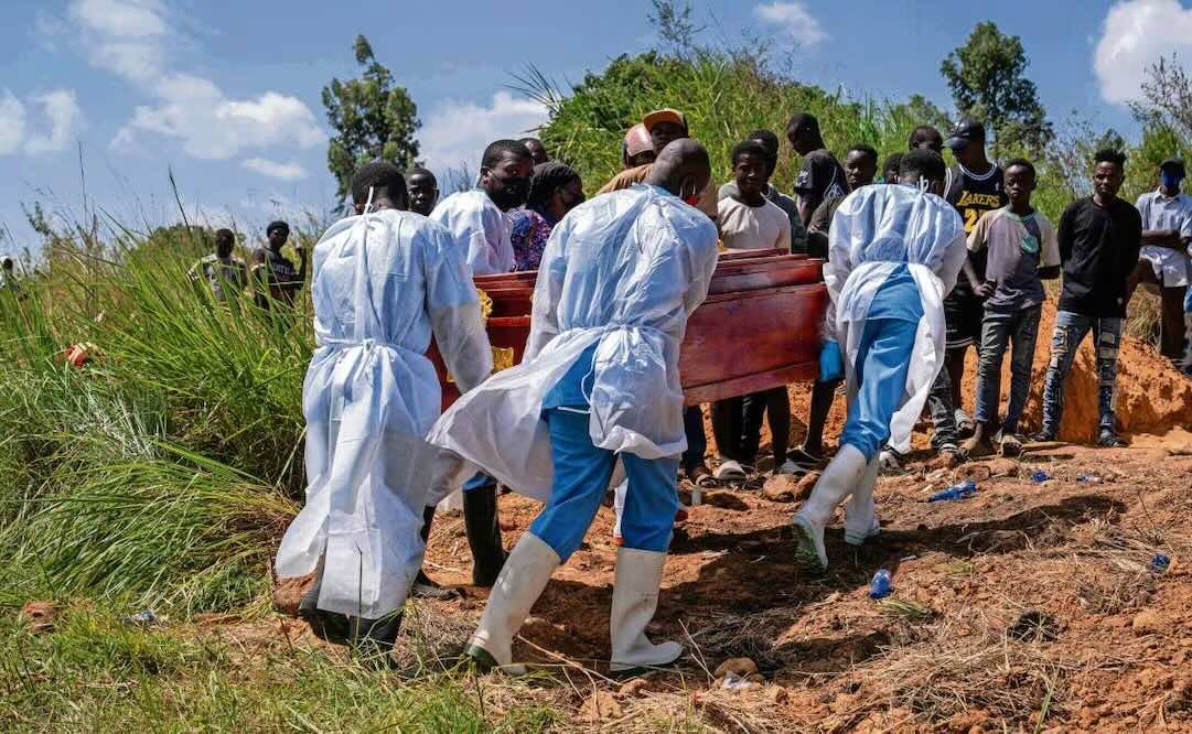 Trabajadores de la salud transportan un ataúd para sepultar a una persona presuntamente fallecida por ébola en Bunia, al este de la RDC. Foto: Glody Murhabazi / AFP)