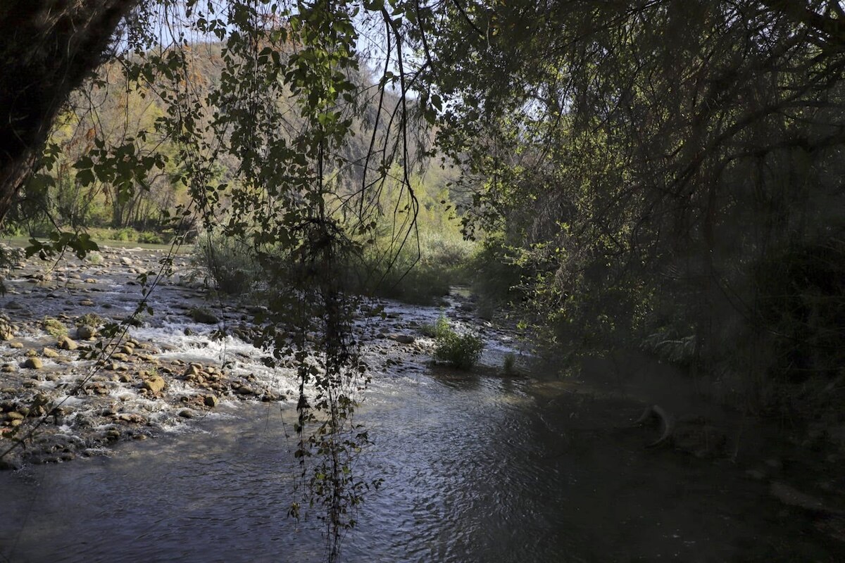 Crustáceo endémico acamaya estaría cerca de desaparecer