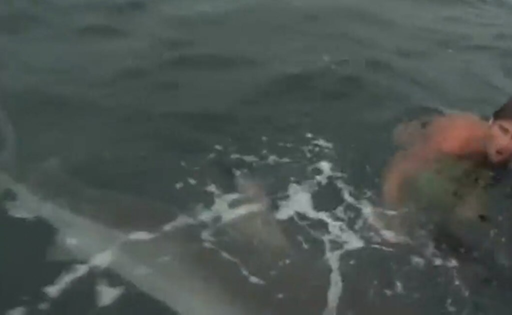 Captan en video el momento en que un tiburón queda cara a cara con un nadador