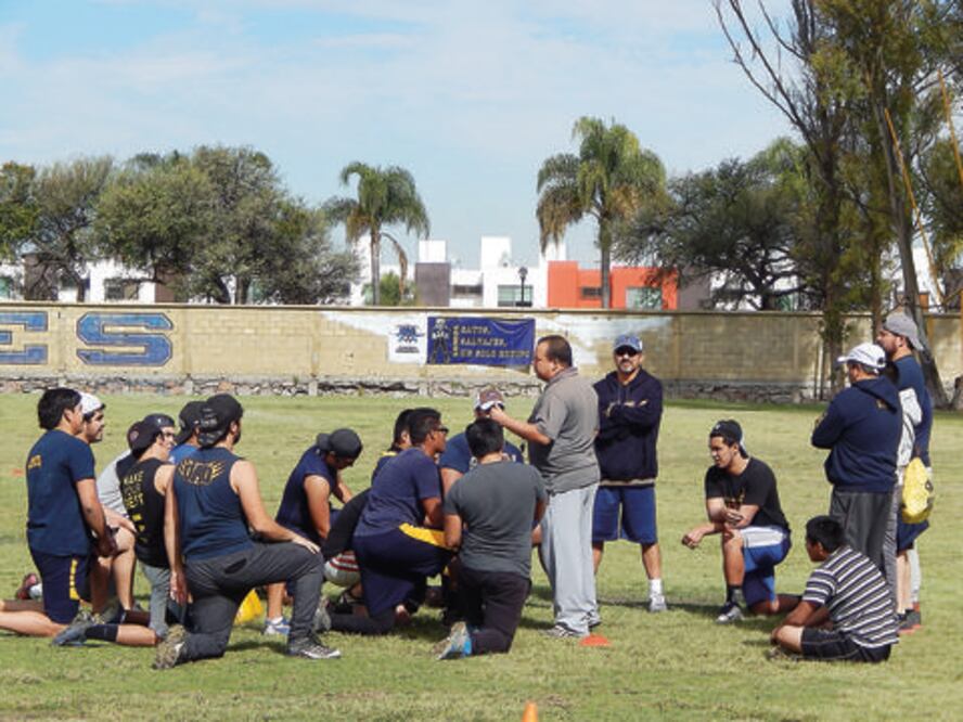 Gatos Salvajes vuelve a la acción