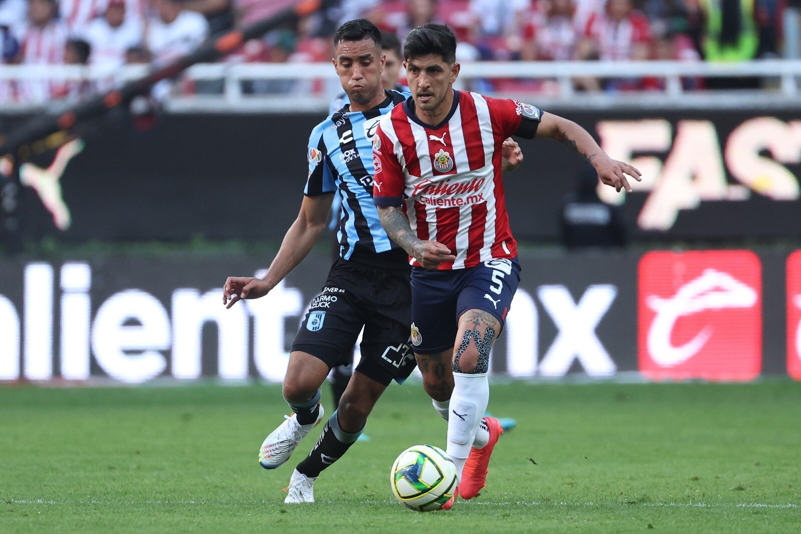 Opinión. Gallos, por récord de 50 sin ganar como visitante