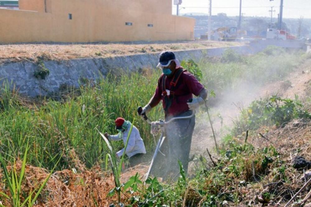 Aprueban programa para limpiar baldíos