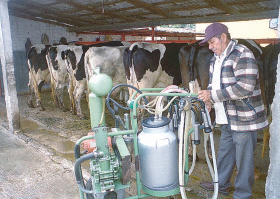 Buscan promover a lecheros de SJR