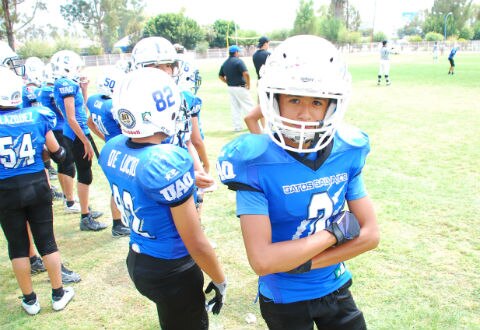 Amargo aniversario de Gatos Salvajes UAQ