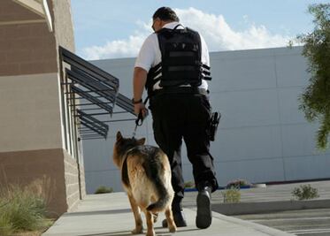 Decrece empresas de seguridad  patito