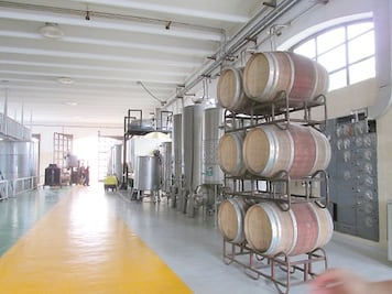 Destaca sector vinícola en 2012