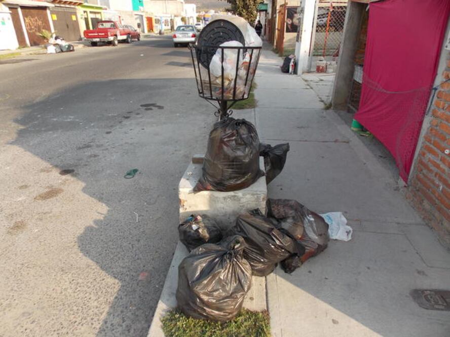 Los vecinos del lugar señalan que otro de los problemas que acarrea la acumulación de basura es que los perros callejeros rompen las bolsas de desperdicios y la riegan por la calle, generando, además, focos de infección. (ARCHIVO. EL UNIVERSAL)