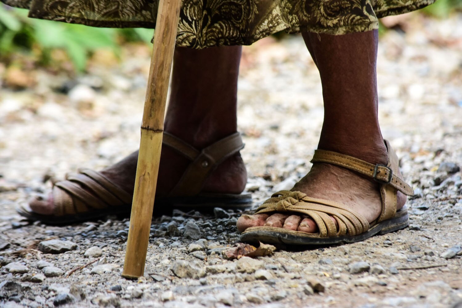 Huellas de fe, un libro sobre la peregrinación al Tepeyac