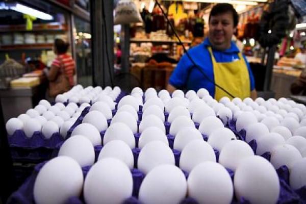 Descarta Profeco alza en huevo y pollo