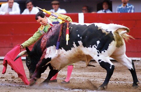 Un taurino privilegiado