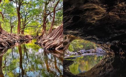 Los Sabinos y su manantial, un oasis escondido en Querétaro