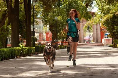Ya hay fecha para la cuarta carrera canina P-Run